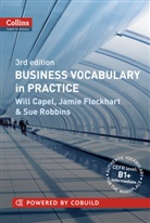 Will Capel, Jamie Flockhart, Sue Robbins - Business Vocabulary in Practice