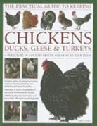 Fred Hams, Hams Fred - Practical Guide to Keeping Chickens, Ducks, Geese & Turkeys