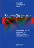 Agarwal, Agarwal, Ashok Agarwal, Arman Zini, Armand Zini - Sperm Chromatin