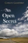 Carlos Gamerro - Open Secret