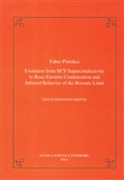 Fabio Pistolesi - Evolution from BCS super-conductivity to Bose-Einstein condensation and infrared behavior of the bosonic limit
