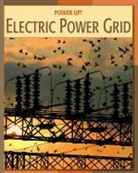Patricia Hynes - Electric Power Grid