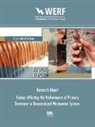 Anita Bahe, Terry Bounds, Victor A. Damato, Victor A D'Amato, Victor A. D'amato - FACTORS AFFECTING PERFORMANCE OF