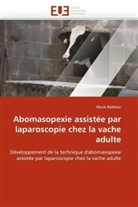 Marie Babkine, Babkine-M - Abomasopexie assistee par