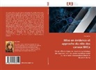Elise Bertet, Bertet-e - Mise en evidence et approche du