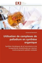 Emmanuel Bossharth, Bossharth-E - Utilisation de complexes de