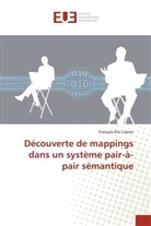 François-Élie Calvier, Calvier-F - Decouverte de mappings dans un