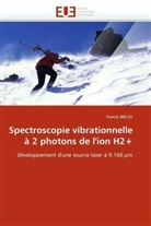 Franck Bielsa, Bielsa-F - Spectroscopie vibrationnelle a 2