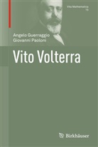 Angel Guerraggio, Angelo Guerraggio, Giovanni Paoloni, Manfred Stern - Vito Volterra