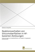 Sebastian Patzig-Klein - Reaktionsverhalten von Siliciumoberflächen in HF-basierten Ätzlösungen
