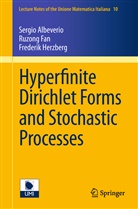 Sergi Albeverio, Sergio Albeverio, Ruzon Fan, Ruzong Fan, Frederik Herzberg, Frederik S Herzberg... - Hyperfinite Dirichlet Forms and Stochastic Processes