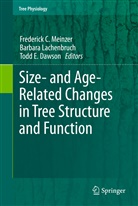 Todd E. Dawson, Todd E Dawson, Barbar Lachenbruch, Barbara Lachenbruch, Frederick C. Meinzer - Size- and Age-Related Changes in Tree Structure and Function