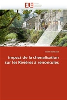 Maëlle Rambaud, Rambaud-m - Impact de la chenalisation sur