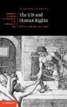 Guglielmo Verdirame, Guglielmo (King's College London) Verdirame - Un and Human Rights