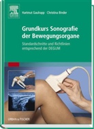 Christina Binder, Hartmut Gaulrapp, Binde, Binder, Christina Binder, Gaulrap... - Grundkurs Sonografie der Bewegungsorgane