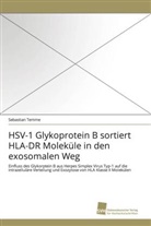 Sebastian Temme - HSV-1 Glykoprotein B sortiert HLA-DR Moleküle in den exosomalen Weg