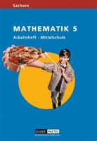 Jen Eisoldt, Jens Eisoldt, Kari Fischer, Hans-Günt Friedemann - Link Mathematik, Ausgabe Sachsen, Mittelschule: Klasse 5, Arbeitsheft