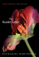 Nathaniel Hawthorne - The Scarlet Letter