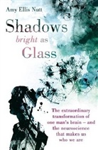 Amy E. Nutt, Amy Ellis Nutt - Shadows Bright as Glass