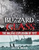 Sally M. Walker - Blizzard of Glass