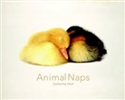 Catherine Ham - Animal Naps