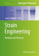 Jame A Williams, James A Williams, James A. Williams - Strain Engineering