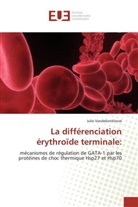 Julie Vandekerckhove, Vandekerckhove-J - La differenciation erythroide