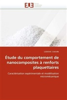 LUDOVIC CAUVIN, Cauvin-L - Etude du comportement de