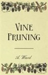 Frederic T. Bioletti - Vine Pruning
