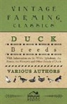 Various - Duck Breeds - With Information on the White Aylesbury, the Rouen, the Muscovy and Other Breeds of Duck