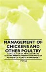 Various - Management of Chickens and Other Poultry - A Collection of Articles on the Culling, Feeding, Housing and Various Methods of Poultry Management