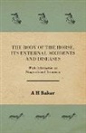 A H Baker, A. H. Baker - The Body of the Horse, Its External Accidents and Diseases - With Information on Diagnosis and Treatment
