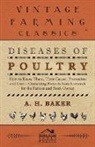 A H Baker, A. H. Baker - Diseases of Poultry - How to Know Them, Their Causes, Prevention and Cure - Containing Extracts from Livestock for the Farmer and Stock Owner