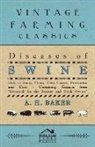 A H Baker, A. H. Baker - Diseases of Swine - How to Know Them, Their Causes, Prevention and Cure - Containing Extracts from Livestock for the Farmer and Stock Owner