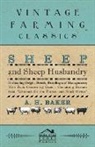 A H Baker, A. H. Baker - Sheep and Sheep Husbandry - Embracing Origin, Breeds, Breeding and Management; With Facts Concerning Goats - Containing Extracts from Livestock for the Farmer and Stock Owner