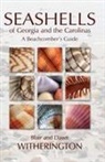 Blair Witherington, Blair E. Witherington, Blair/ Witherington Witherington, Dawn Witherington - Seashells of Georgia and the Carolinas