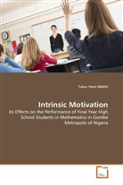 Tukur Yemi Madu - Intrinsic Motivation