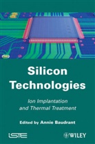 A Baudrant, Annie Baudrant, Annie Baudrant - Thermal Treatment in Microelectronics
