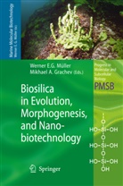 A Grachev, A Grachev, Werne E G Müller, Werner E G Müller, Mikhael A. Grachev, W. E. G. Müller... - Biosilica in Evolution, Morphogenesis, and Nanobiotechnology