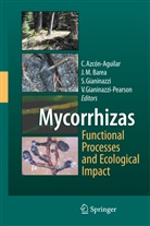 Concepción Azcón-Aguilar, Jose Miguel Barea, José Miguel Barea, Silvio Gianinazzi, Silvio Gianinazzi et al, Vivienne Gianinazzi-Pearson... - Mycorrhizas - Functional Processes and Ecological Impact