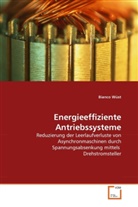 Bianco Wüst - Energieeffiziente Antriebssysteme