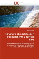 Sahbi Zaouali, Zaouali-S - Structure et modelisation d
