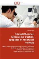 Chauvier David, David-C - Camptothecines: mecanisme d