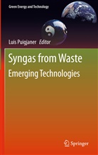 Lui Puigjaner, Luis Puigjaner - Syngas from Waste