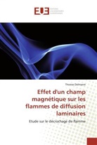Thomas Delmaere, Delmaere-T - Effet d un champ magnetique sur