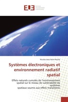 Nicolas Jean-Henri Roche, Roche-n - Systemes electroniques et