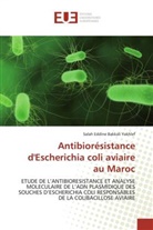 Salah Eddine Bakkali Yakhlef, Bakkali yakhlef-s - Antibioresistance d escherichia