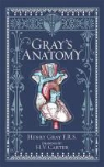 Henry Gray, Henry Gray - Gray's Anatomy