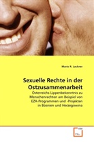 Mario Lackner, Mario R Lackner, Mario R. Lackner - Sexuelle Rechte in der Ostzusammenarbeit