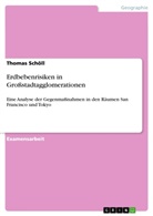 Thomas Schöll - Erdbebenrisiken in Großstadtagglomerationen